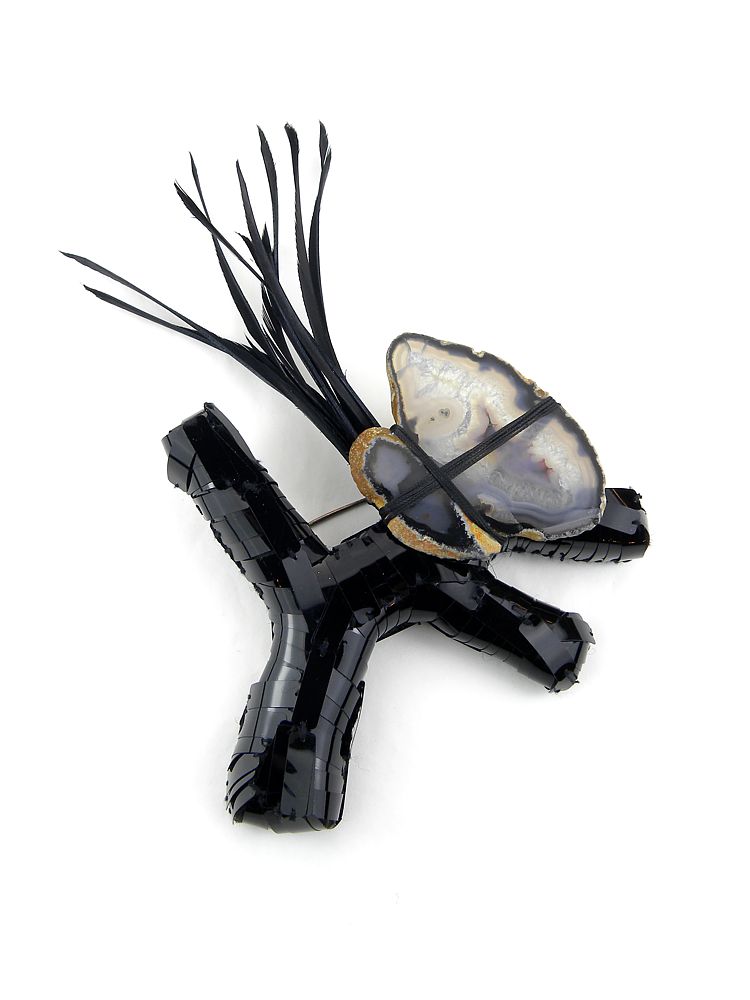 Fossile Ramo Fiorito